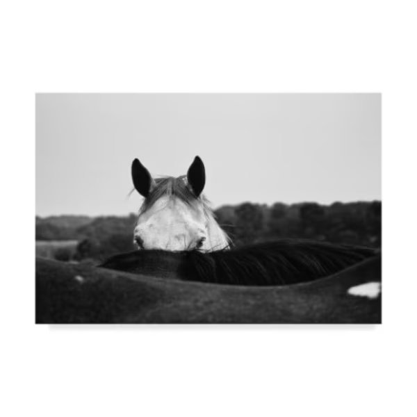 Aledanda 'Flirt White Horse' Canvas Art, 22x32, Trademark Fine Art, Mfr#: WAP04714-C2232GG